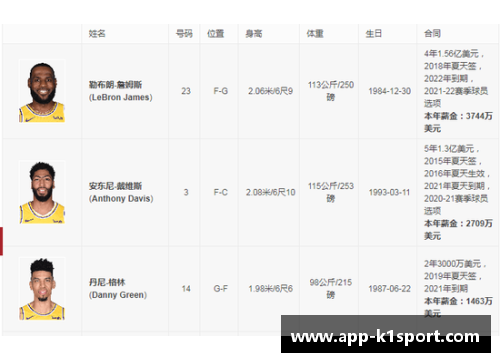 上海队现役球员名单及关键信息