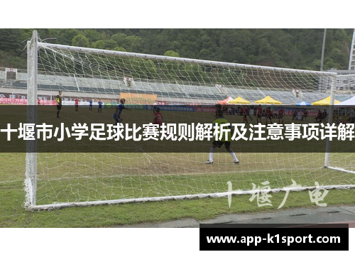 十堰市小学足球比赛规则解析及注意事项详解